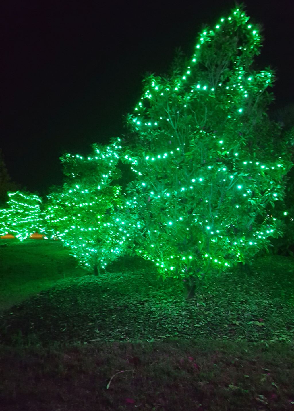 The 13th Day of&nbsp;Christmas