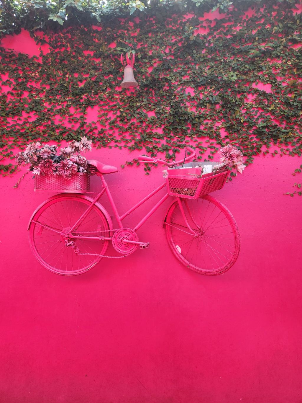 One Amazing Adventure